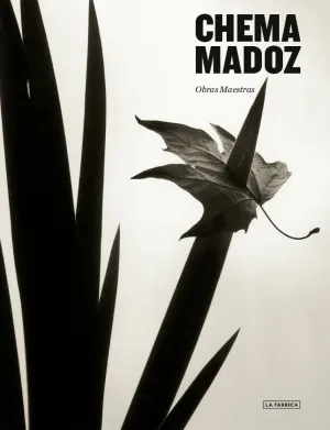 Obras Maestras Chema Madoz Quinta Edición.