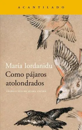 Como Pájaros Atolondrados