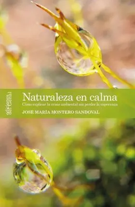 Naturaleza en Calma