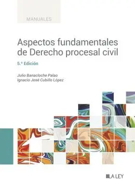 Aspectos Fundamentales de Derecho Procesal Civil. Actualizado Al Rdl 52023