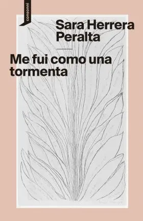 Me Fui Como una Tormenta