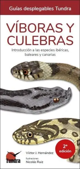 Viboras y Culebras