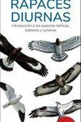 Rapaces Diurnas 17ª Edicion - Guias Desplegables Tundra