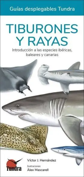 Tiburones y Rayas. Guias Desplegables,56