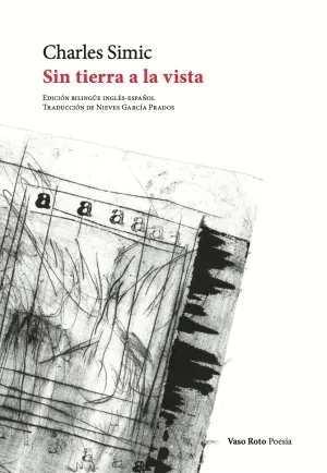 Sin Tierra a la Vista