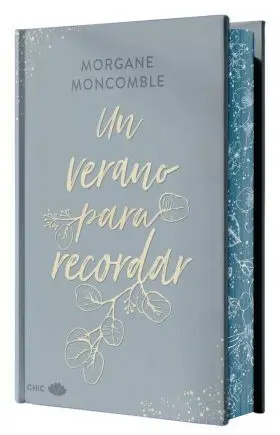 Un Verano para Recordar (Ed. Especial con Cantos Pintados)