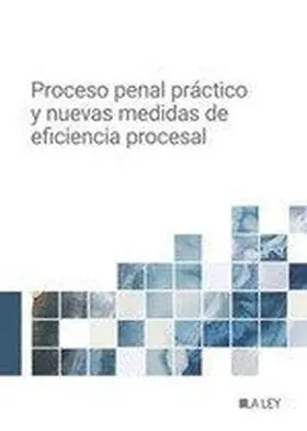 Proceso Penal Practico y Nuevas Medidas de Eficiencia Procesal