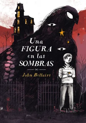 Una Figura en las Sombras