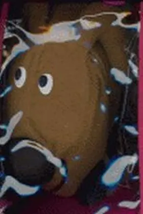 Bolitas Soy Perrito