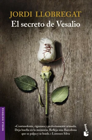 El Secreto de Vesalio