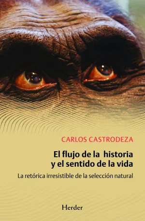 El Flujo de la Historia y Sentido de la Vida