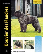 Bouvier Des Flandres (Excellence)