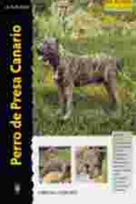 Perro de Presa Canario