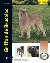 Griffon de Bruselas (Excellence-Raza Especial)