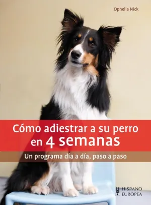 Como Adiestrar a Su Perro en 4 Semanas