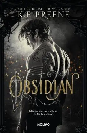 Obsidian, Fae de las Sombras 1