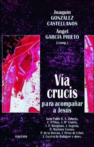Via Crucis para Compañar a Jesus