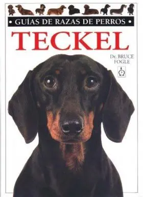 Teckel