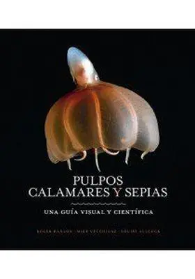 Pulpos Calamares y Sepias