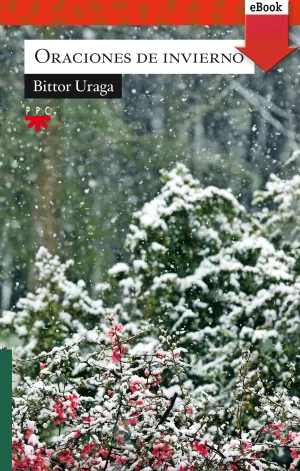 Oraciones de Invierno (Ebook-Epub)