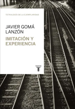 Imitacion y Experiencia