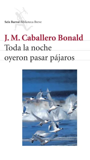Toda la Noche Oyeron Pasar Pajaros