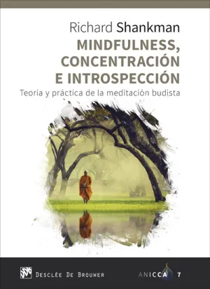 Mindfulness, Concentración e Introspección. Teoría y Práctica de la Meditación B