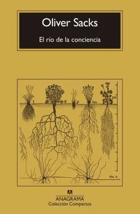 El Río de la Conciencia