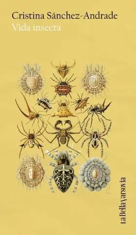 Vida Insecta