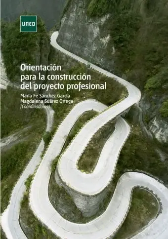 Orientacion para la Construccion del Proyecto Prof