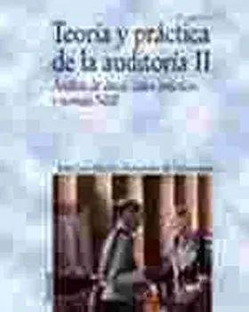 Teoria y Practica de la Auditoria Ii