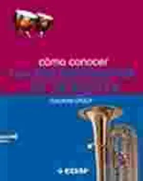 Como Conocer los Instrumentos de la Orquesta