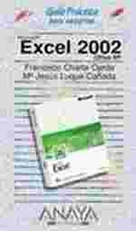 Excel 2002 Office Xp