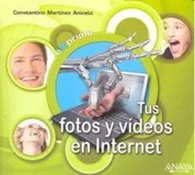 Tus Fotos y Videos en Internet