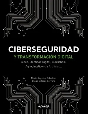 Ciberseguridad y Transformacion Digital