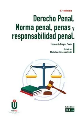 Derecho Penal. Norma Penal, Penas y Responsabilidad Penal