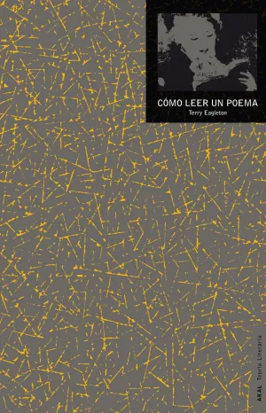 Como Leer un Poema