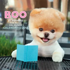 Calendario Boo. El Perrito Mas Mono del Mundo 2013