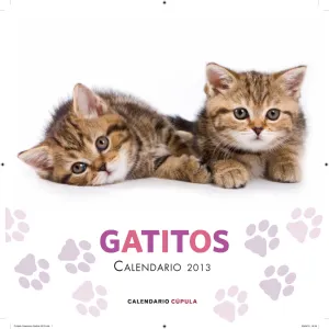 Calendario Gatitos 2013