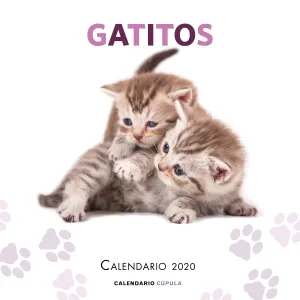 Calendario Gatitos 2020 Cupula