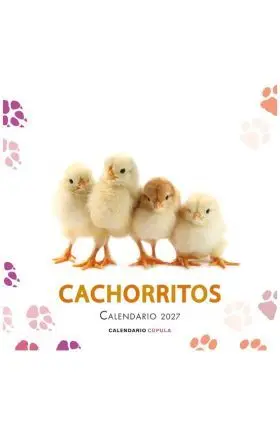 Calendario Cachorritos 2027
