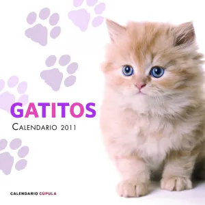 30 X 30 Calendario Gatitos 2011