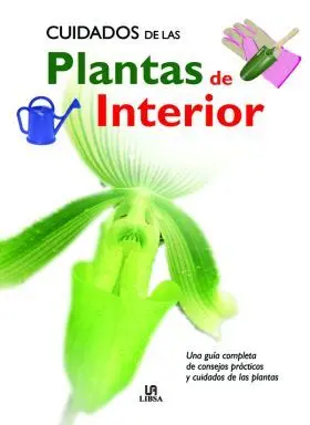 Cuidados de las Plantas de Interior