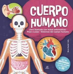 Cuerpo Humano