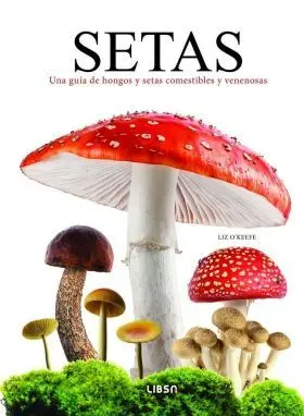Setas