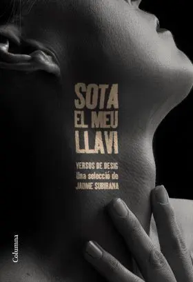 Sota el Meu Llavi
