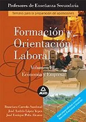 Fol. Vol. Iii Economia y Empresa