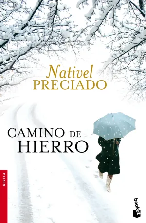 Camino de Hierro