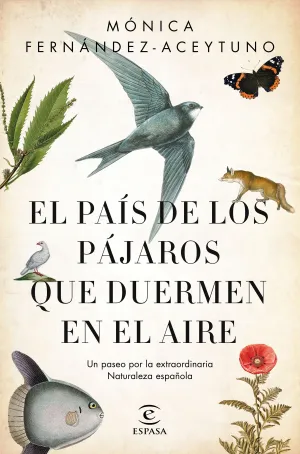 El Pais de los Pajaros que Duermen en el Aire