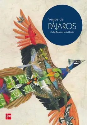Versos de Pajaros